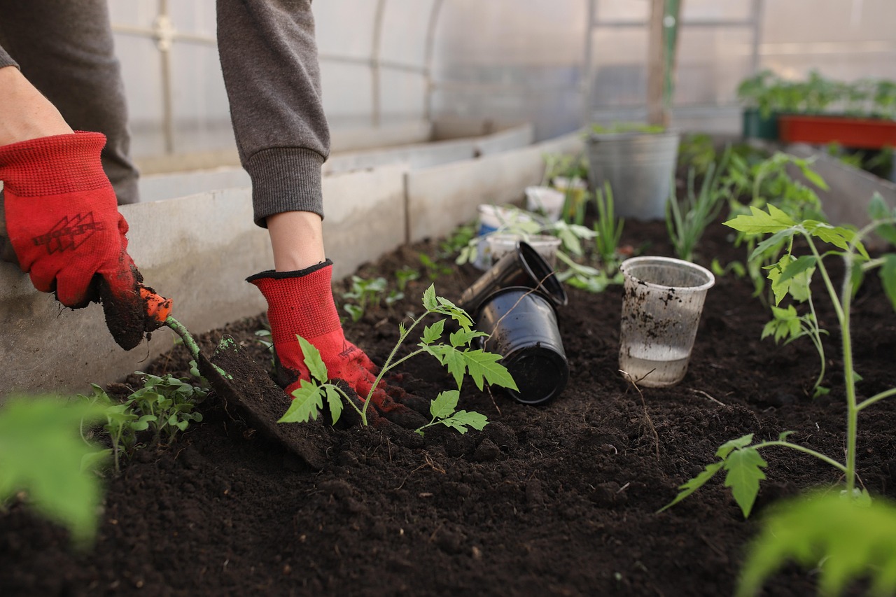Atelier jardinage du lundi au Kids Club Swiss à Crissier Enfant en train de jardiner lors d’un atelier après l’école à Crissier – Kids Club Swiss